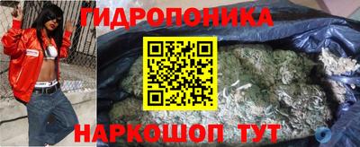 гашик Ипатово