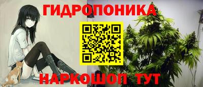 гашик Ипатово