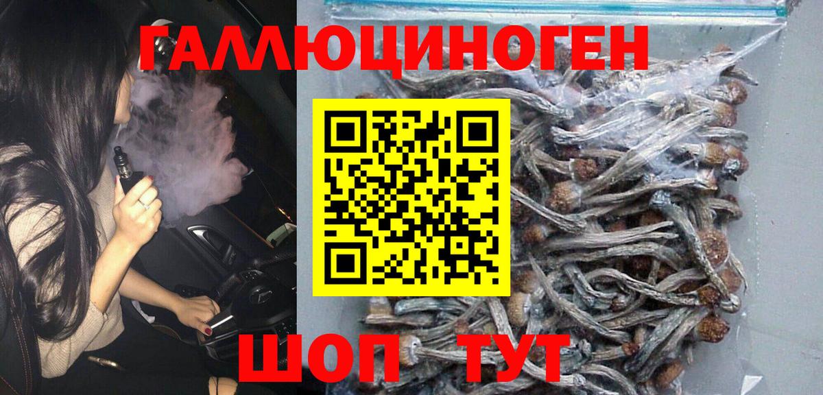 Галлюциногенные грибы GOLDEN TEACHER Топки