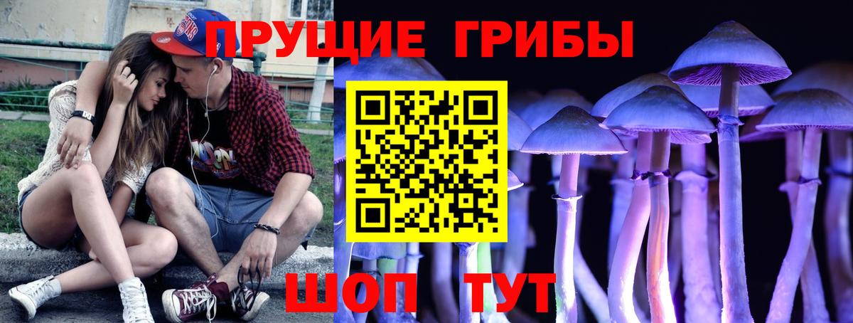Галлюциногенные грибы Psilocybe  Вход с VPN  Топки  Псилоцибиновые грибы GOLDEN TEACHER 